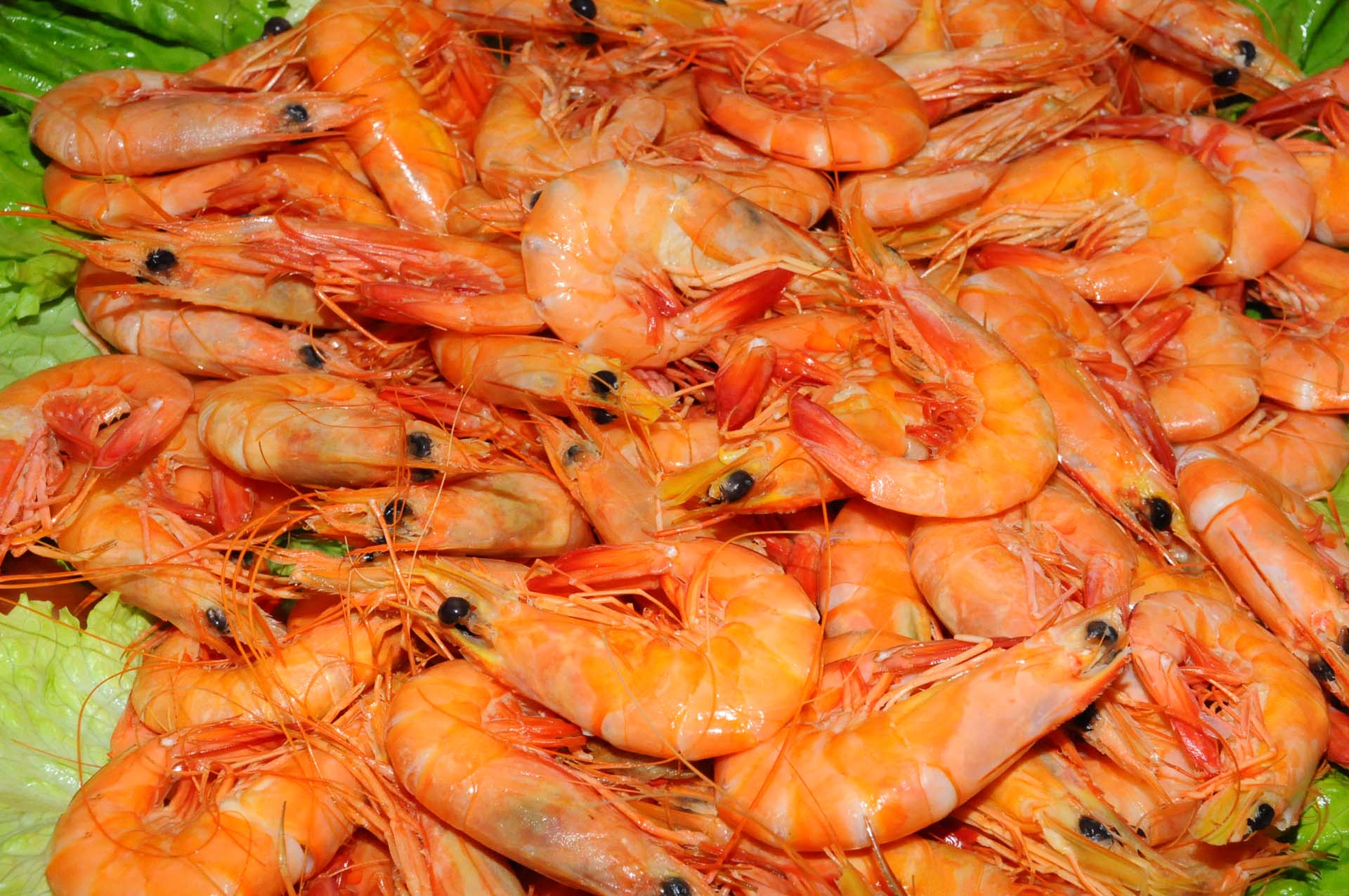Buffet Mariscos Vitor Cerqueira