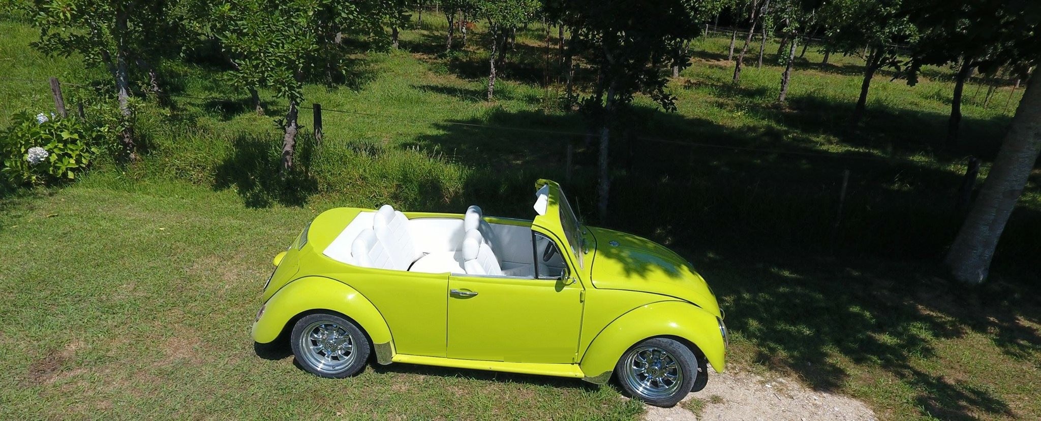 Carros Antigos Vitor Cerqueira